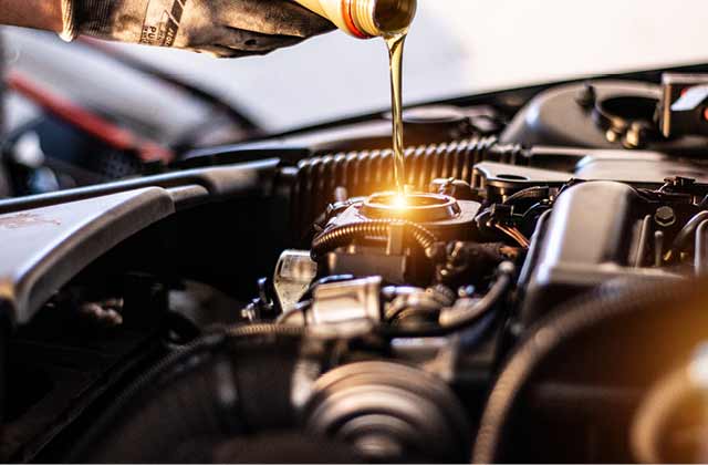 Wartung und Inspektion